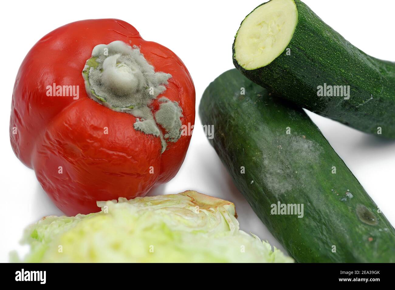 Mold on cucumbers hires stock photography and images Alamy