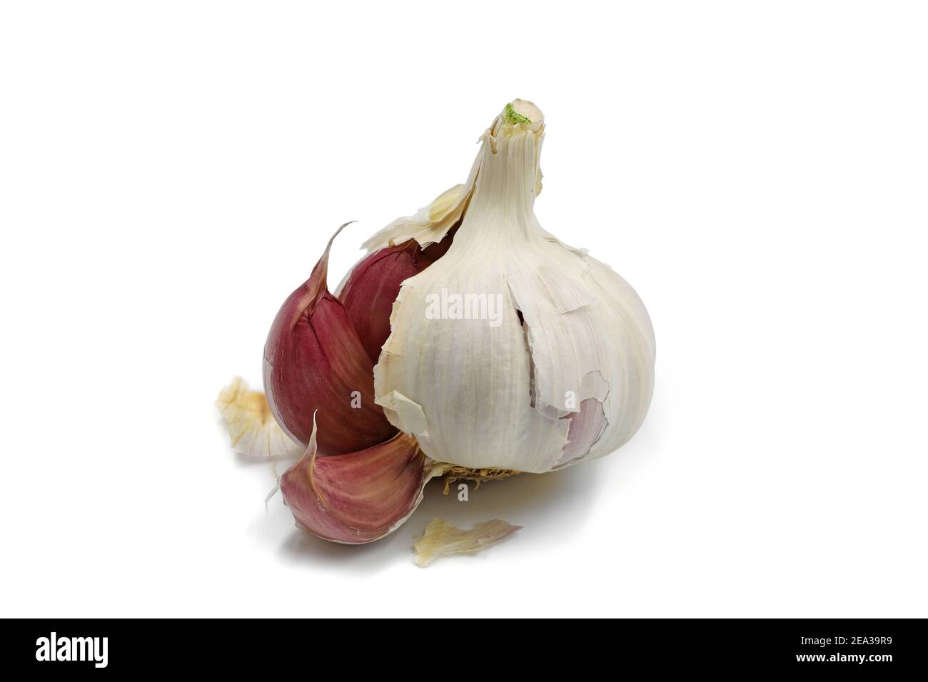 fresh garlic isolated isolated on white background Stock Photo - Alamy