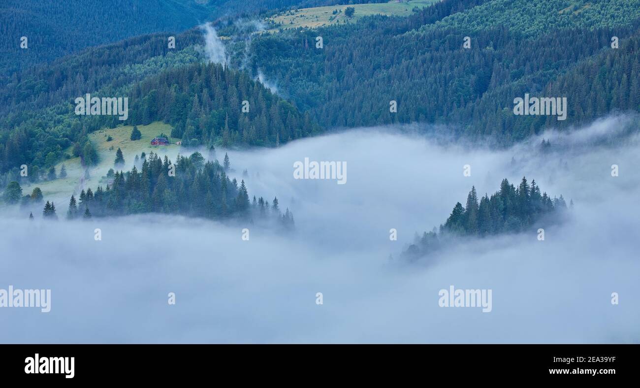 Landscape with fog in mountains and rows of trees Stock Photo - Alamy