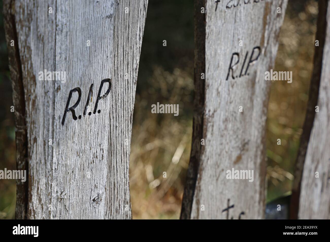 Rest in peace R.I.P. engraved on old wooden board Stock Photo