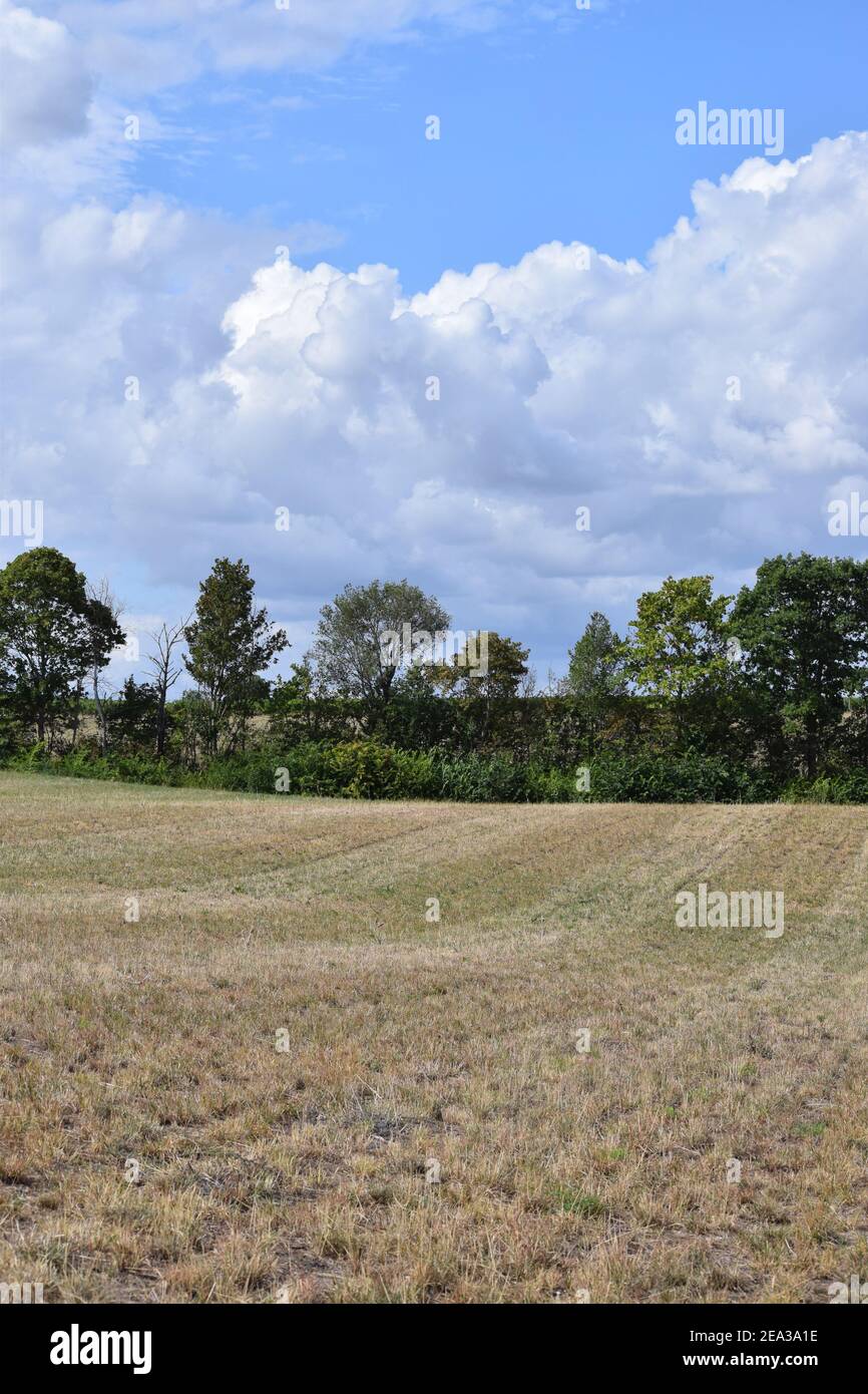 Green belt in the agricultural Sector Stock Photo Alamy