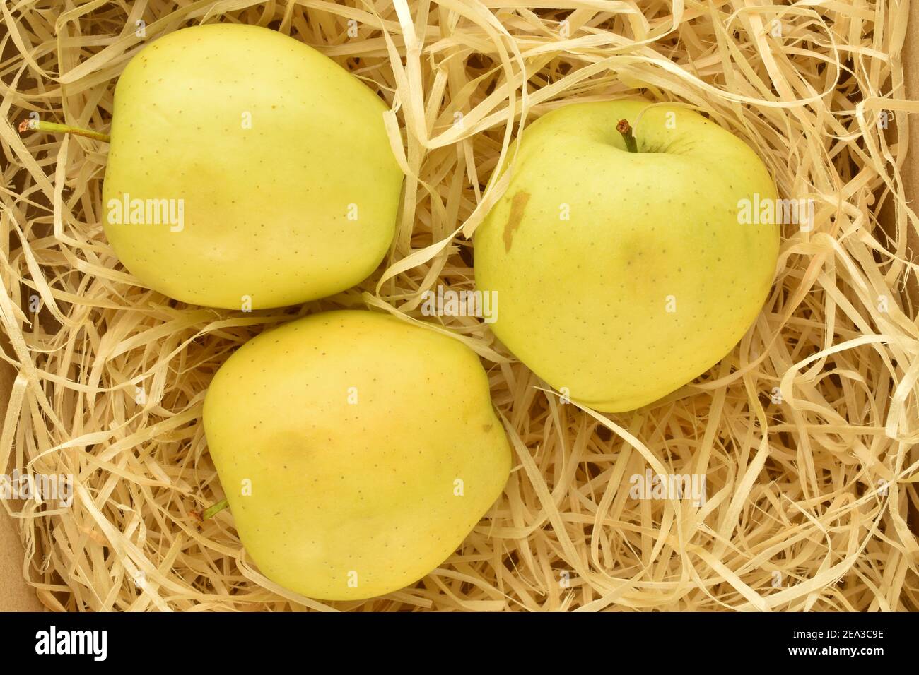 https://c8.alamy.com/comp/2EA3C9E/three-delicious-yellow-apples-on-wood-shavings-close-up-2EA3C9E.jpg