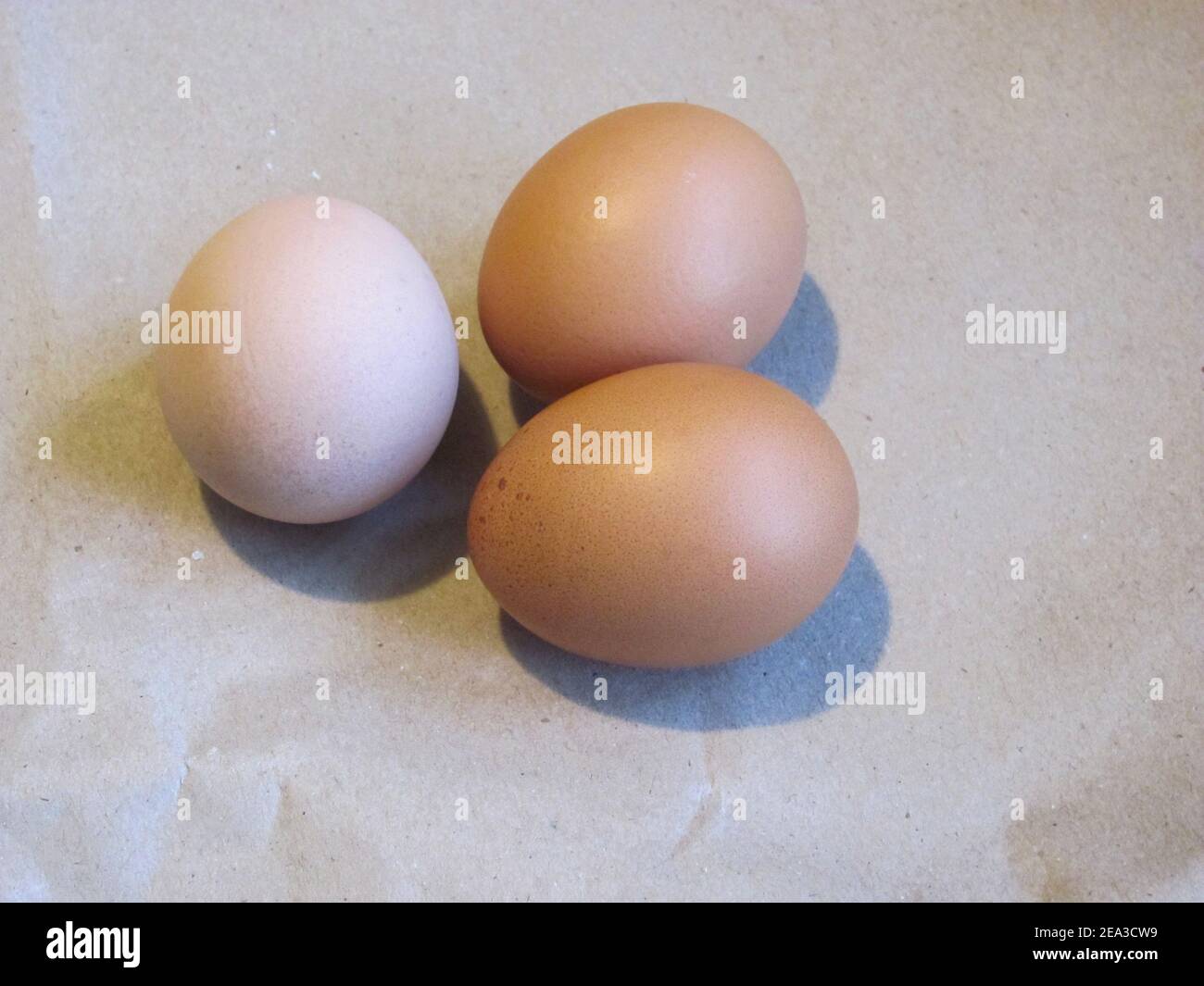 three chicken eggs lying side by side Stock Photo