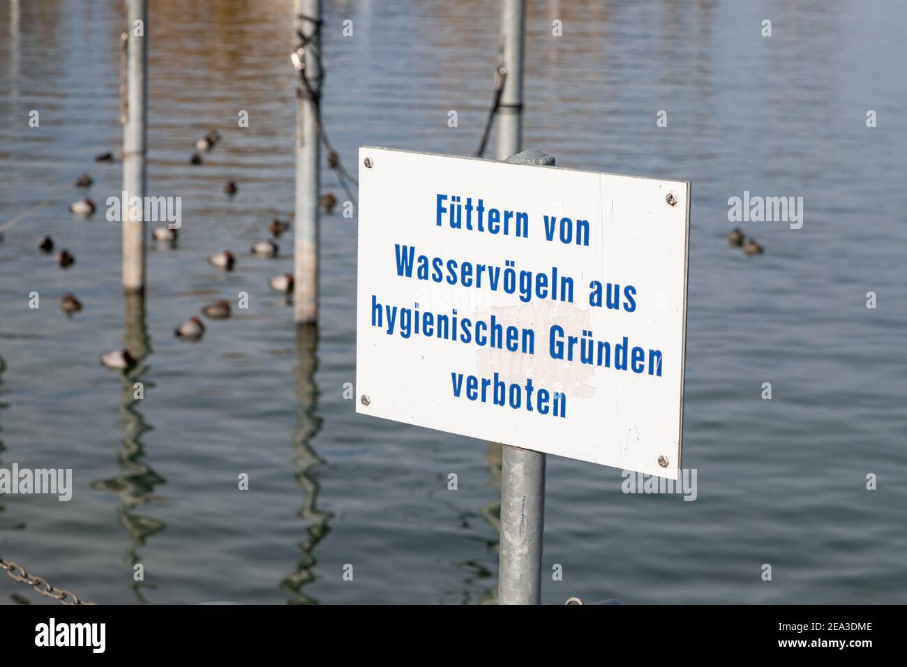 prohibition sign feeding forbidden, german text translation: feeding of waterfowl forbidden for hygienic reasons, swimming birds seen in the backgroun Stock Photo