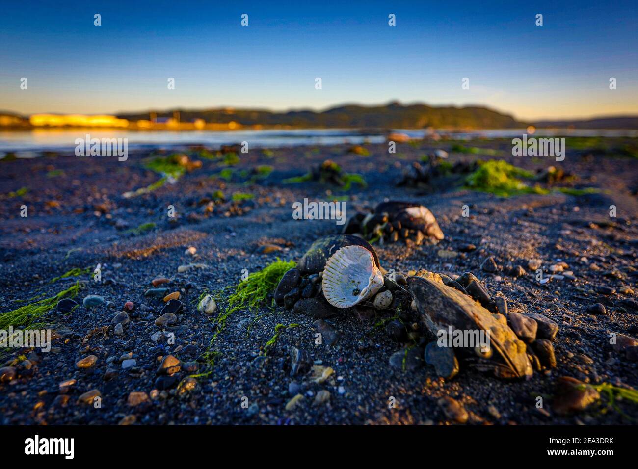 beautiful sunset at the beach with shells Norway Storvika September 2020 Stock Photo
