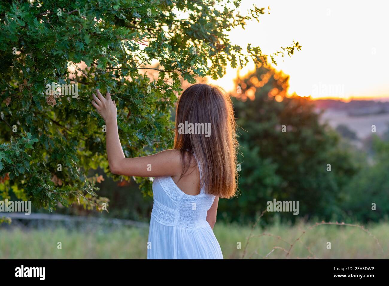 Profile of a young girl with long blond hair dressed in white with her head turned towards the sunset as she touches the leaves of the magic tree Stock Photo