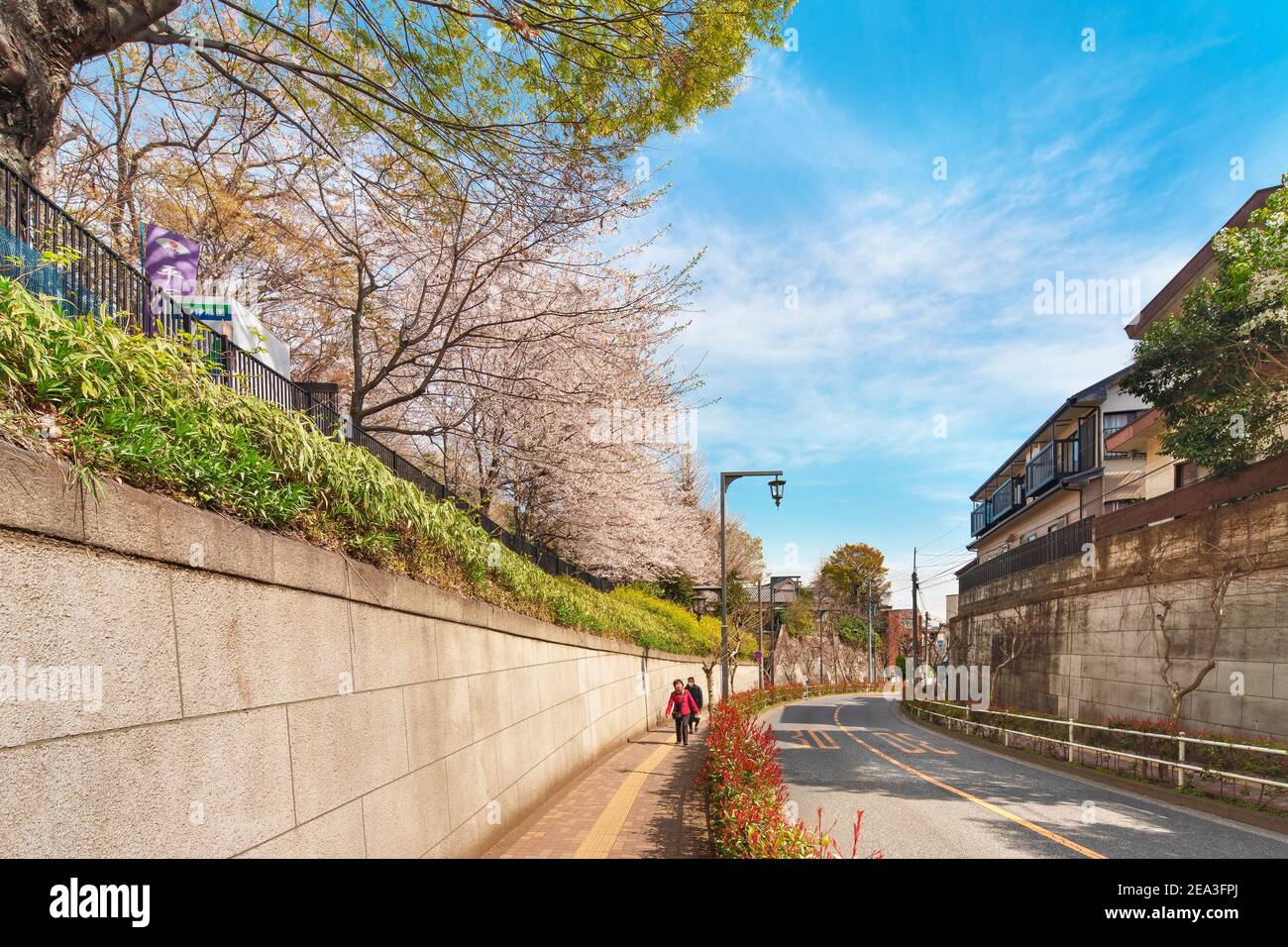 tokyo, japan april 26 2020 Downhill slope named Semizaka meaning
