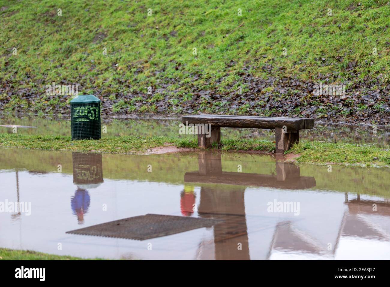 wooden bench in flooded grassland, dustbin nearby and reflection of people in water Stock Photo