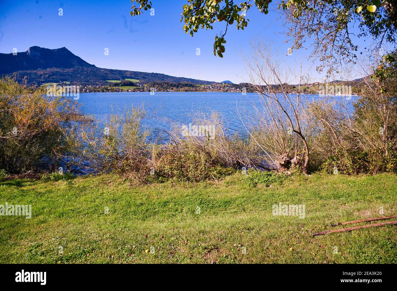 On the shore of lake Mondsee Stock Photo Alamy
