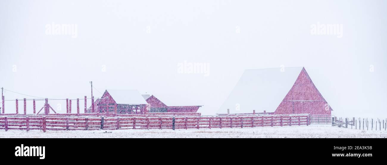 Farm with a red barn and fence panoramic while snowing Stock Photo - Alamy