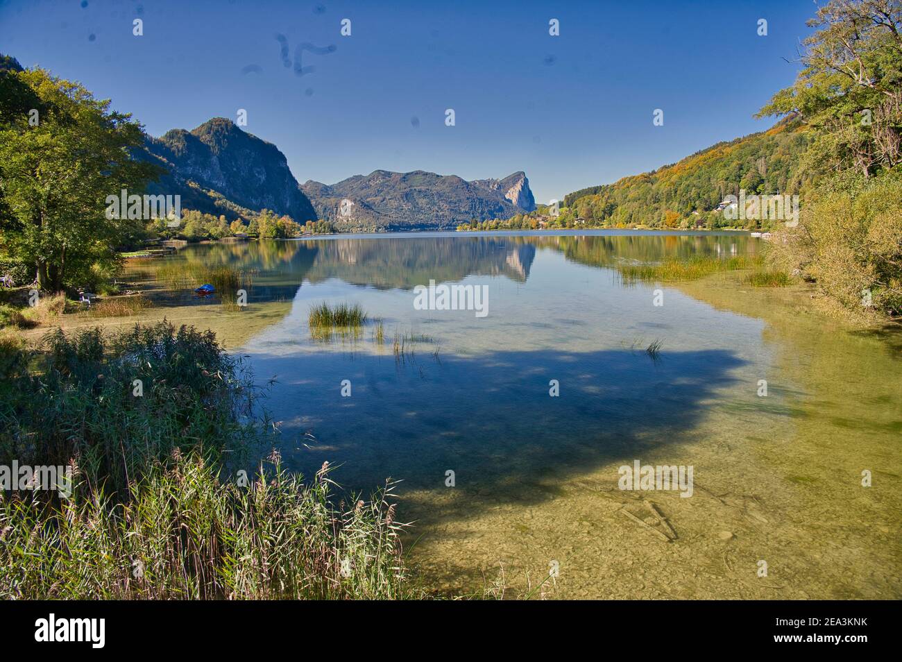 On the shore of lake Mondsee Stock Photo Alamy