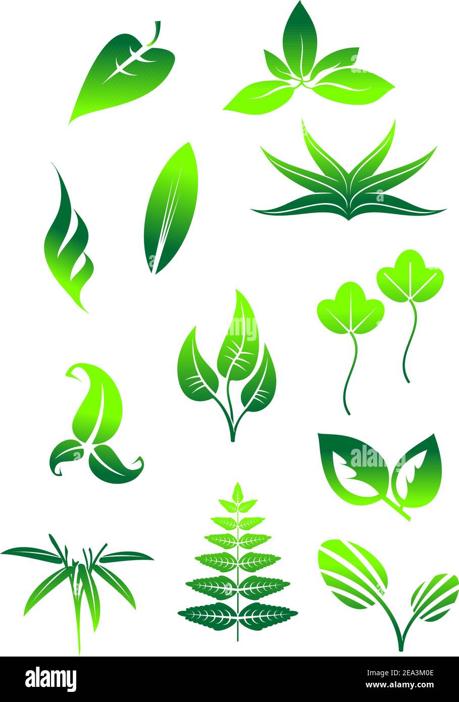 Set of bright green leaves icons and symbols isolated on white ...
