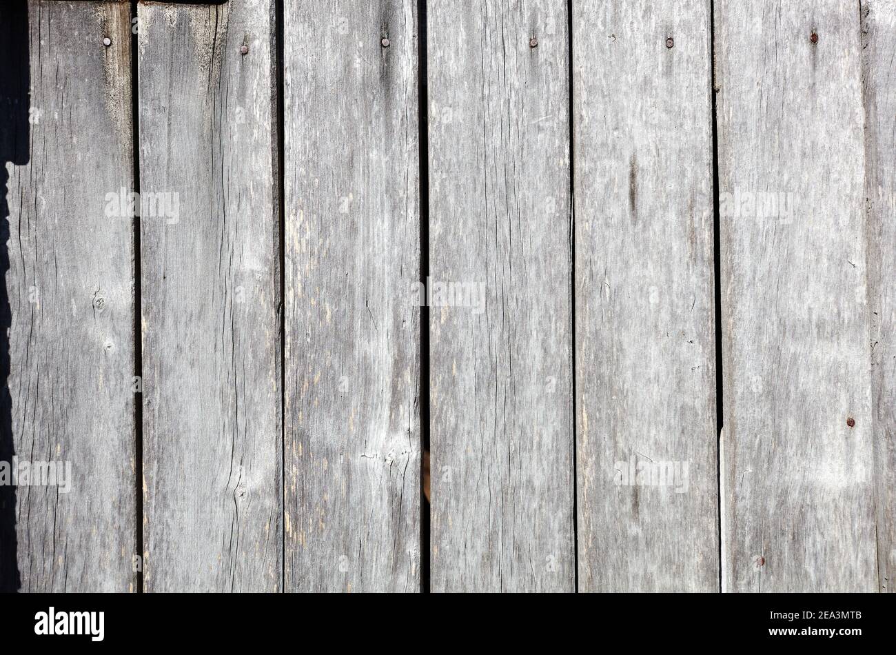 Wooden wall planking. Texture of grey wooden fence. Background of old