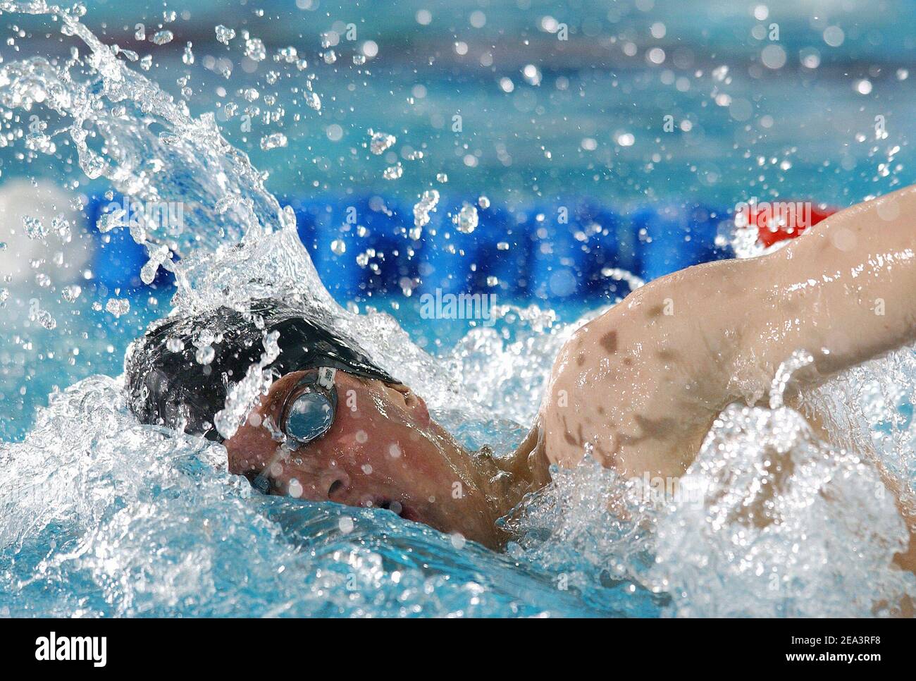 Sebastien Rouault (800m freestyle men) during the French swimming ...