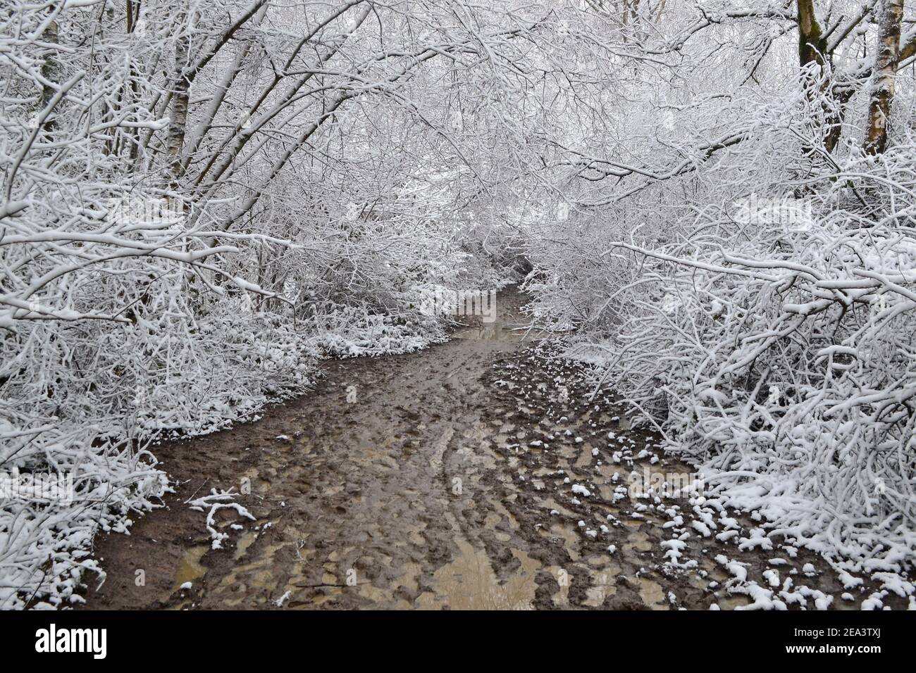 Combination of snow and mud. A very muddy path at One Tree Hill, in