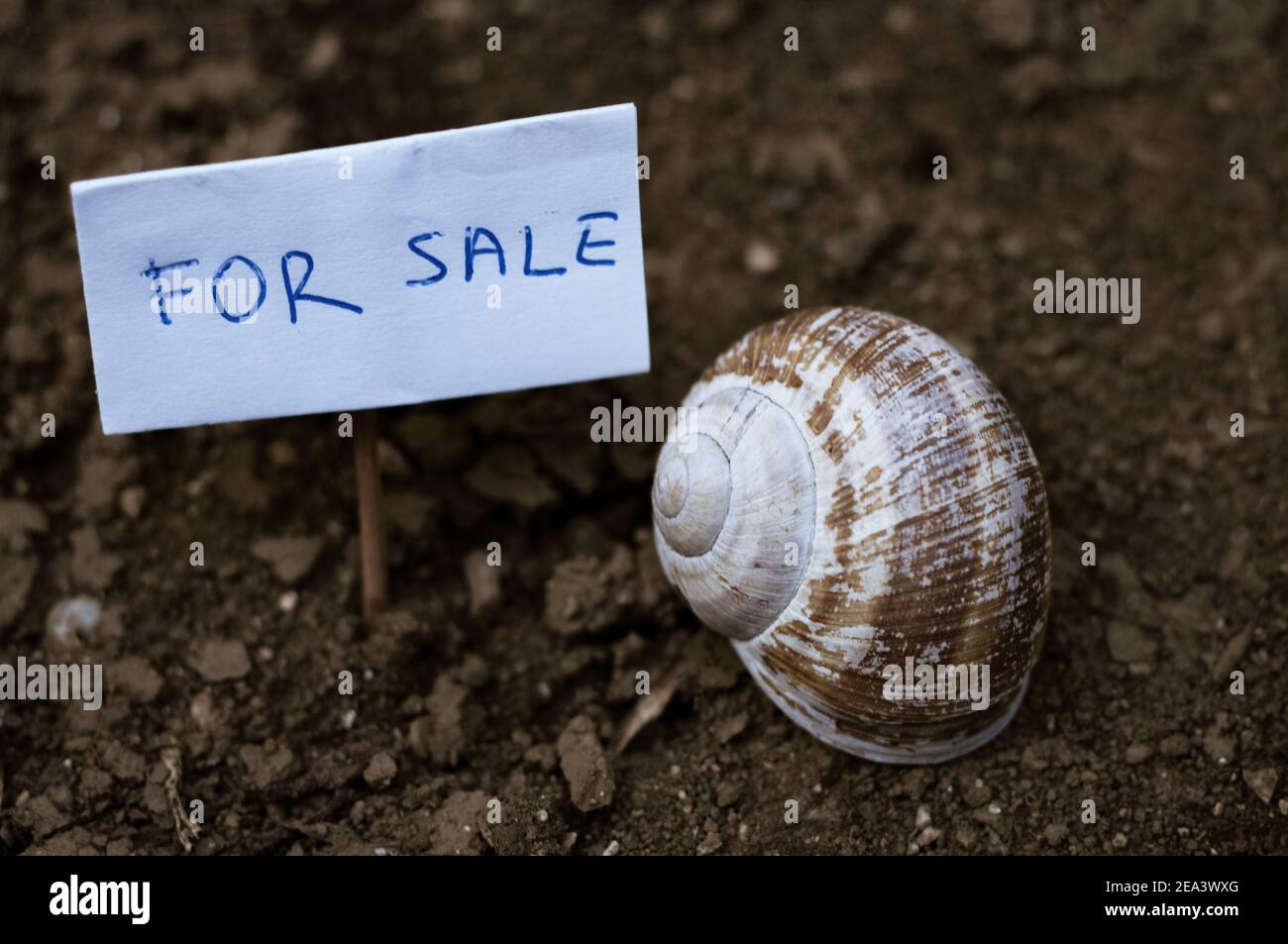 An empty snail house with a board for sale. Stock Photo