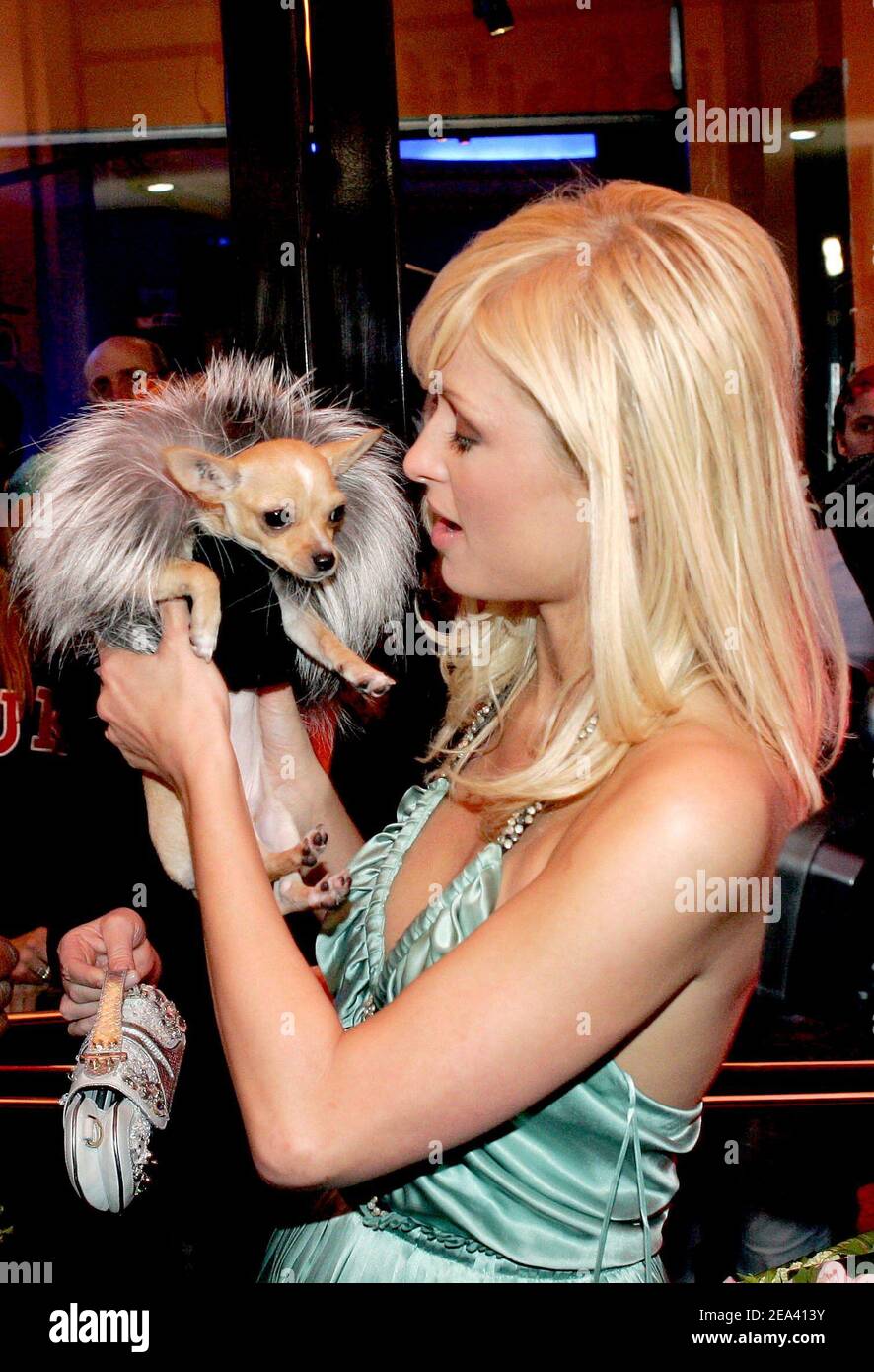 Paris Hilton poses with her dog Tinkerbell during a party for the