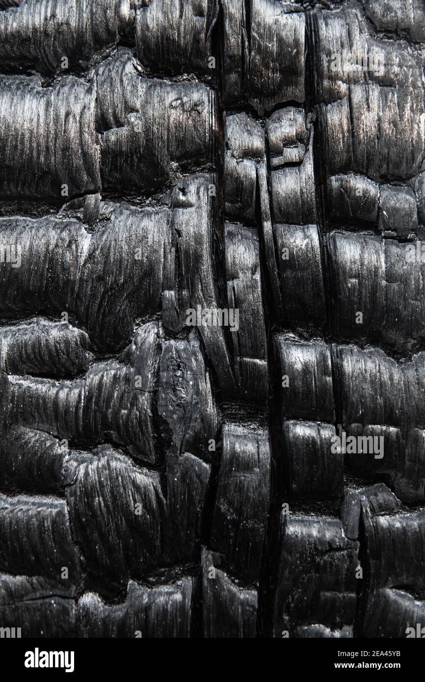 Burned wood texture close up Stock Photo Alamy