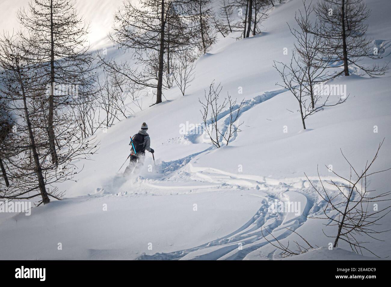 Female freeskier skier making fresh tracks along two other tracks in powder snow in winter mountain slope in trees in Chamonix France Stock Photo
