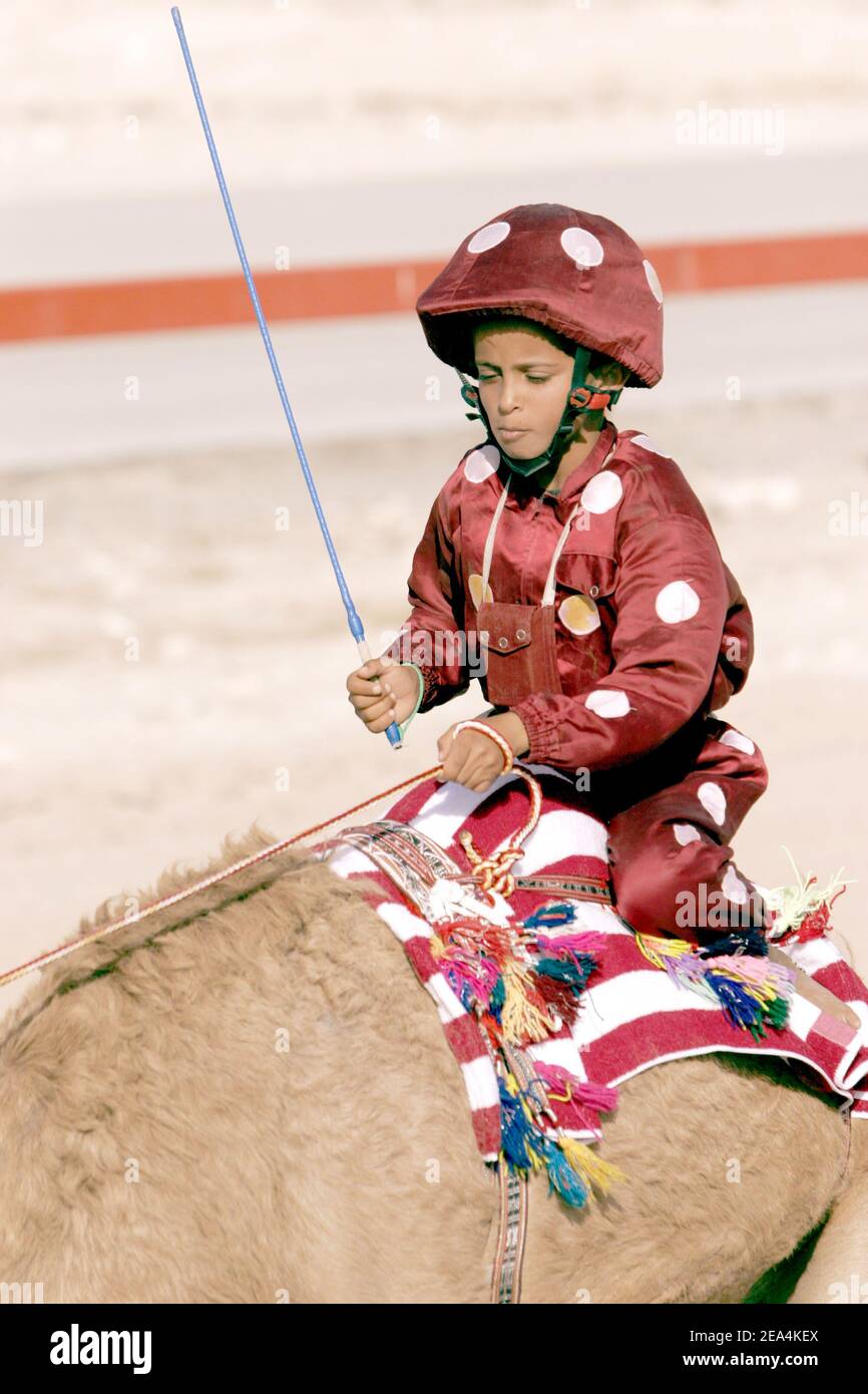 A camel race takes place on a race track in the desert near Doha, Qatar ...