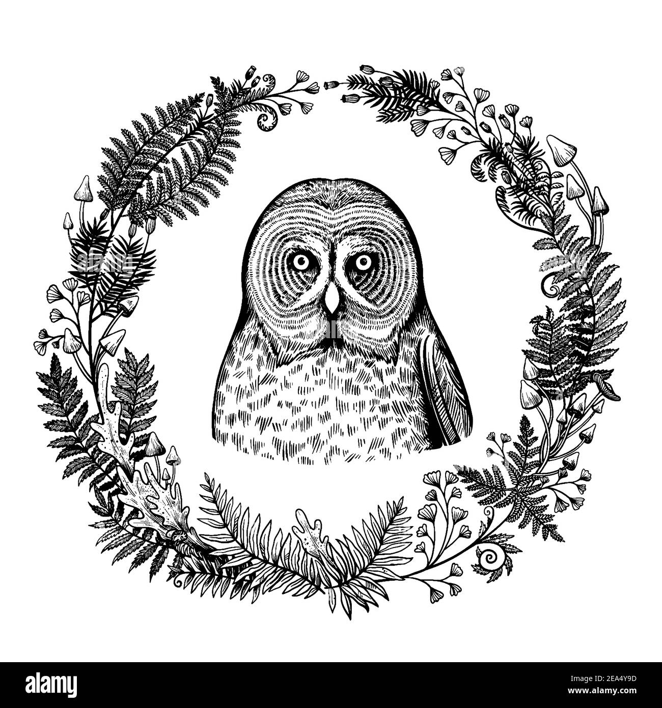 Cute illustrations with owl head and fern wreath. Hand drawing in ink