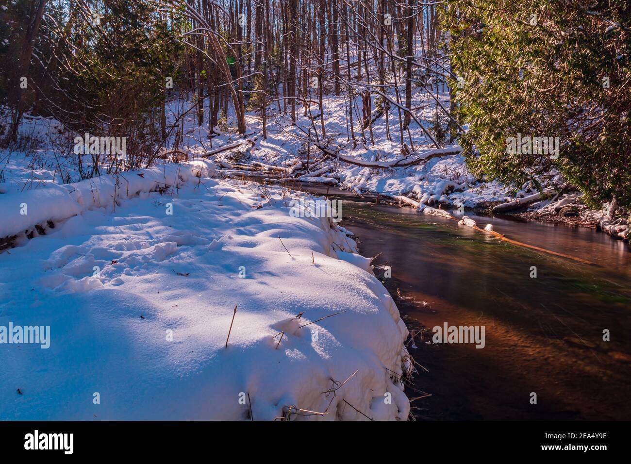 Hoggs Falls Grey Sauble Conservation area Flesherton Ontario Canada Stock Photo