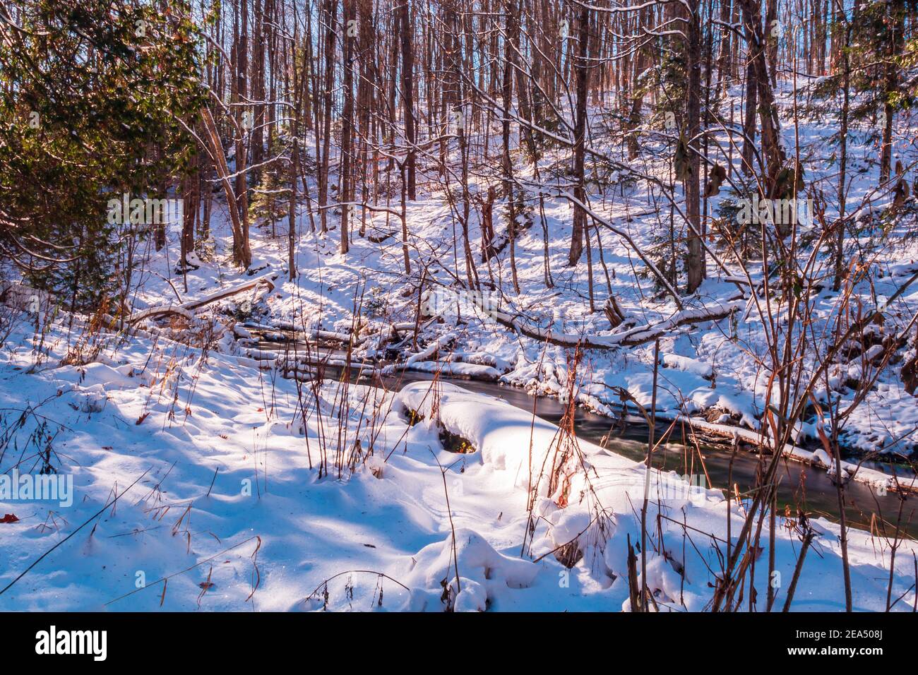 Hoggs Falls Grey Sauble Conservation area Flesherton Ontario Canada Stock Photo