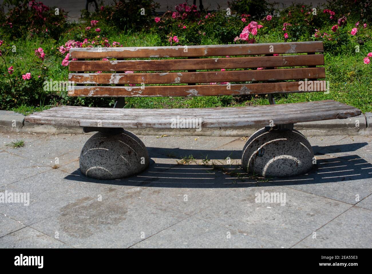 Wooden bench found in the middle of rose garden Stock Photo - Alamy