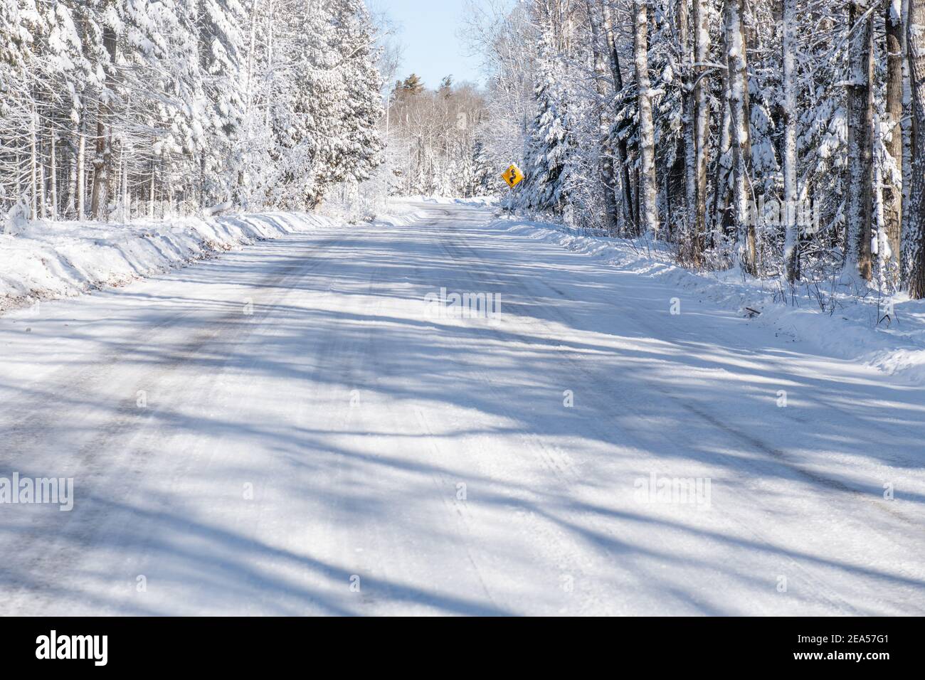 A snow covered road after a snow plow went through and trees that are snow covered. Stock Photo