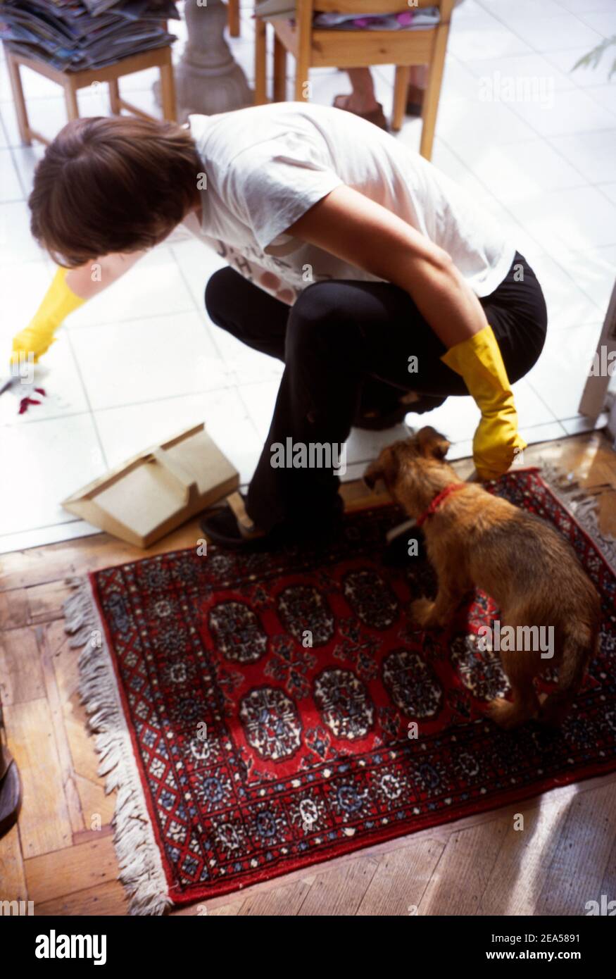 border terrier brush