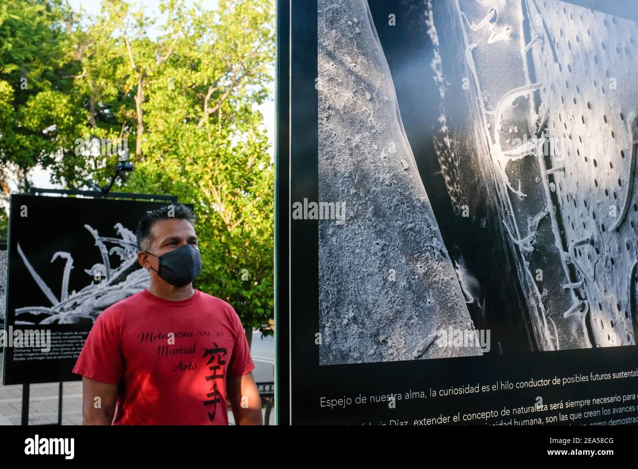 Visitor looking at photo exhibition on Paseo Montejo during the Covid-19 Pandemic, Merida Mexico Stock Photo