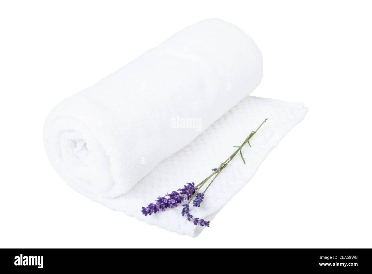 https://c8.alamy.com/comp/2EA58WB/white-towel-and-a-sprig-of-lavender-isolated-a-rolled-towel-and-a-lavender-flower-aromatherapy-2EA58WB.jpg