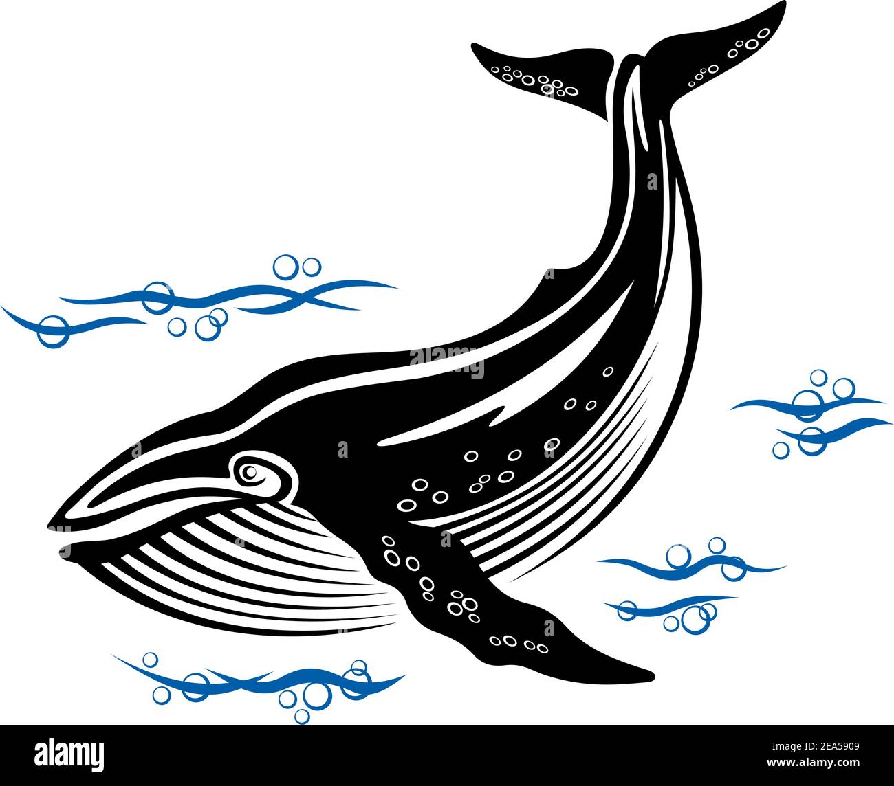 Tail whale in water Cut Out Stock Images & Pictures - Alamy