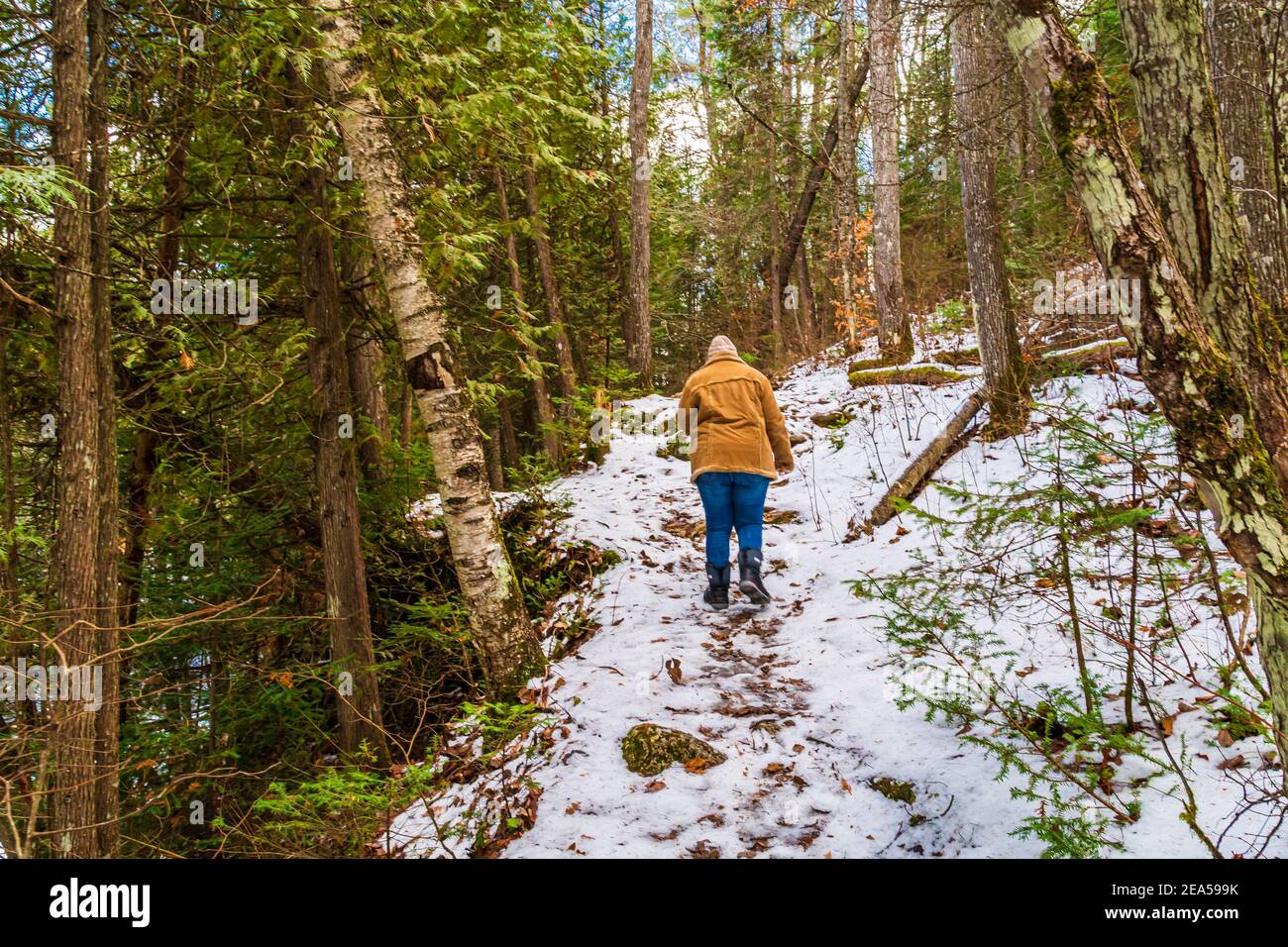 Egan Chutes Conservation Area Bancroft Ontario Canada in Winter Stock Photo