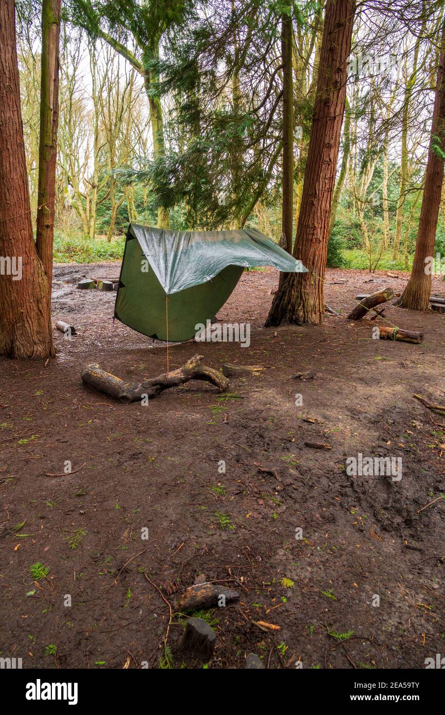 A tarp (tarpaulin) shelter tent at a forest school was also used as a scout wild camping area in local woodland. London. UK. Stock Photo