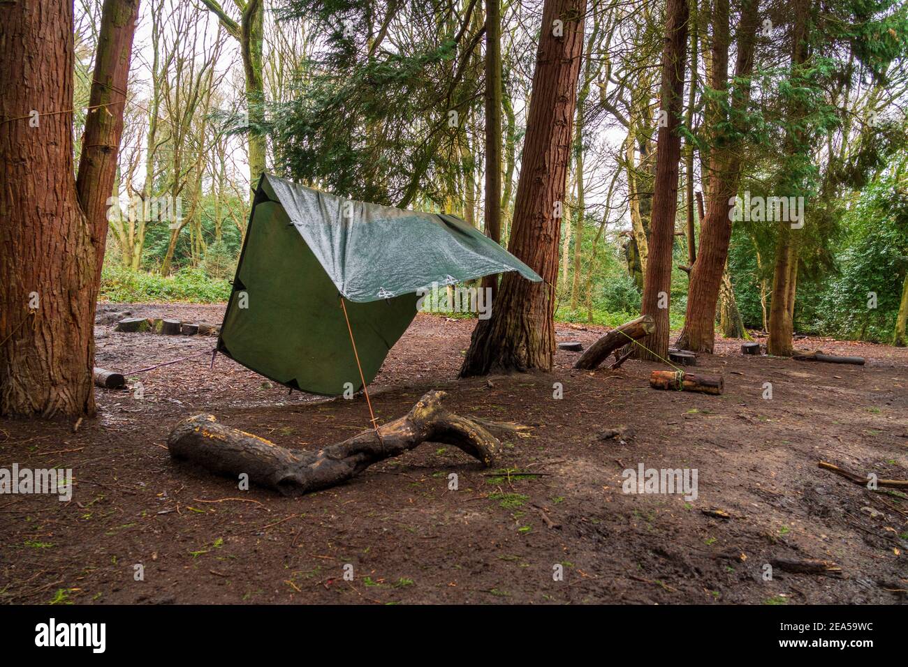 A tarp (tarpaulin) shelter tent at a forest school also used as a scout wild camping area in local woodland. London. UK. Stock Photo