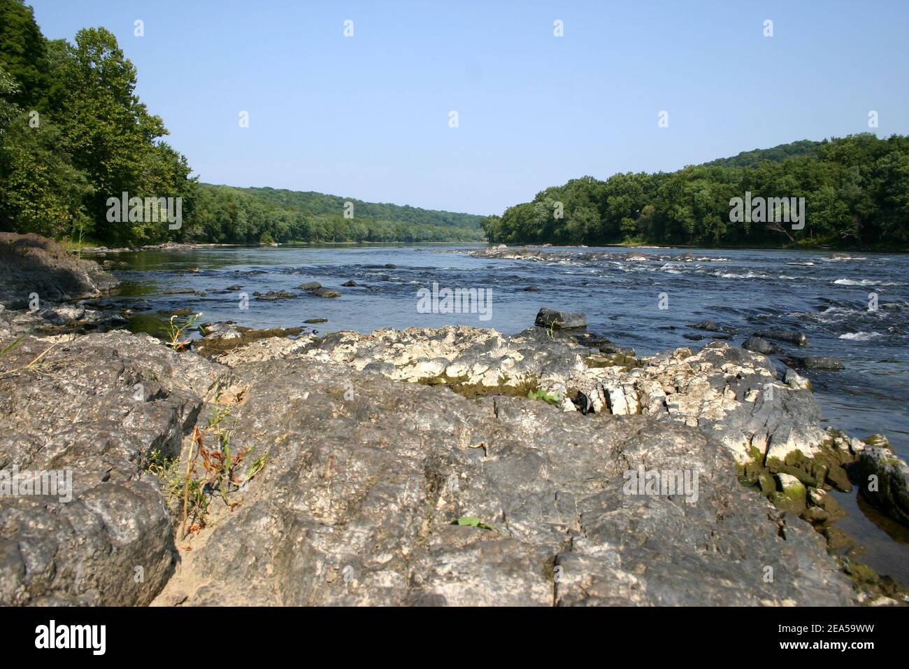 The designated Wild & Scenic Delaware River, New Jersey, New York, Pennsylvania, USA Stock Photo