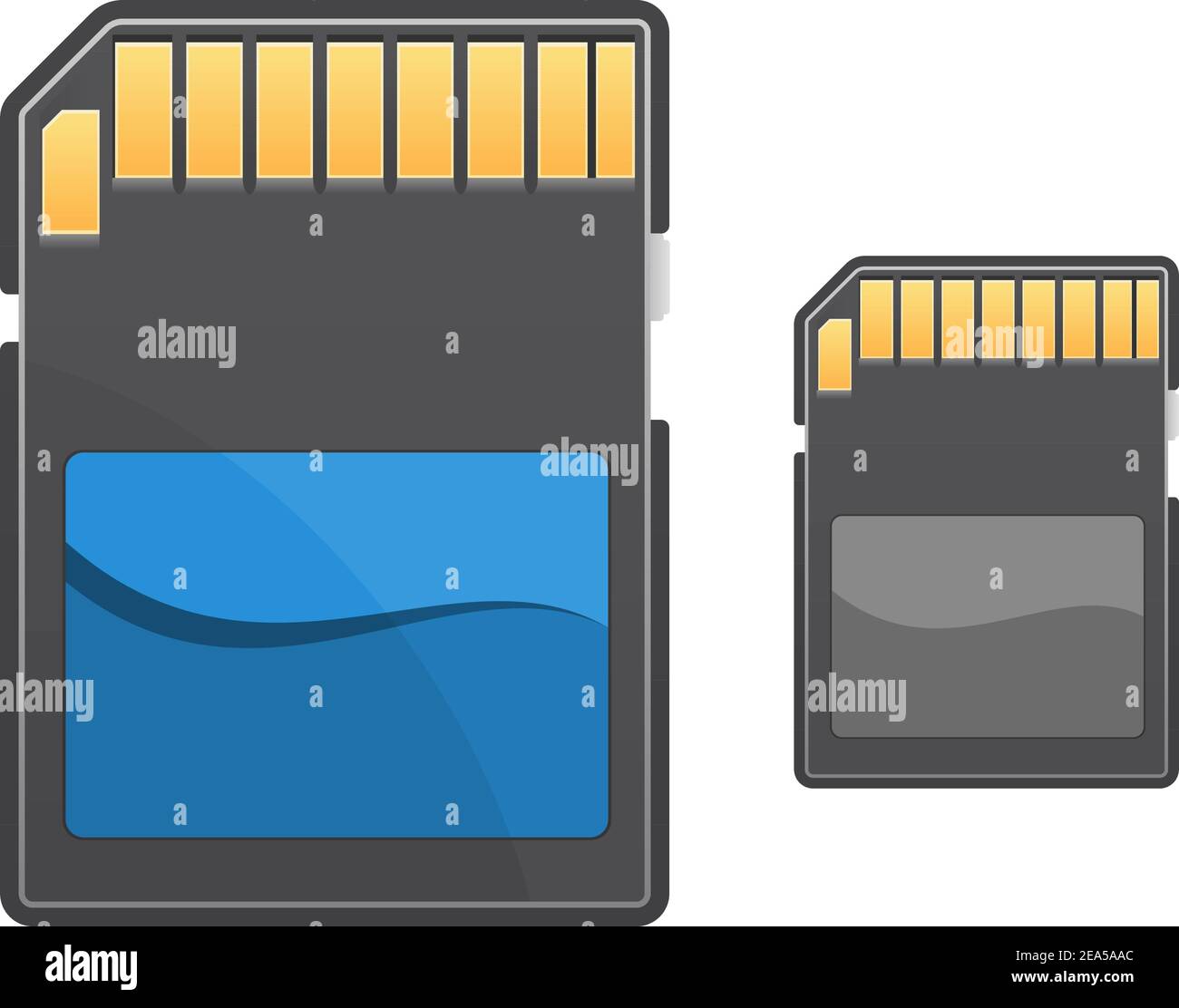 Digital memory card isolated on white background for technology concept