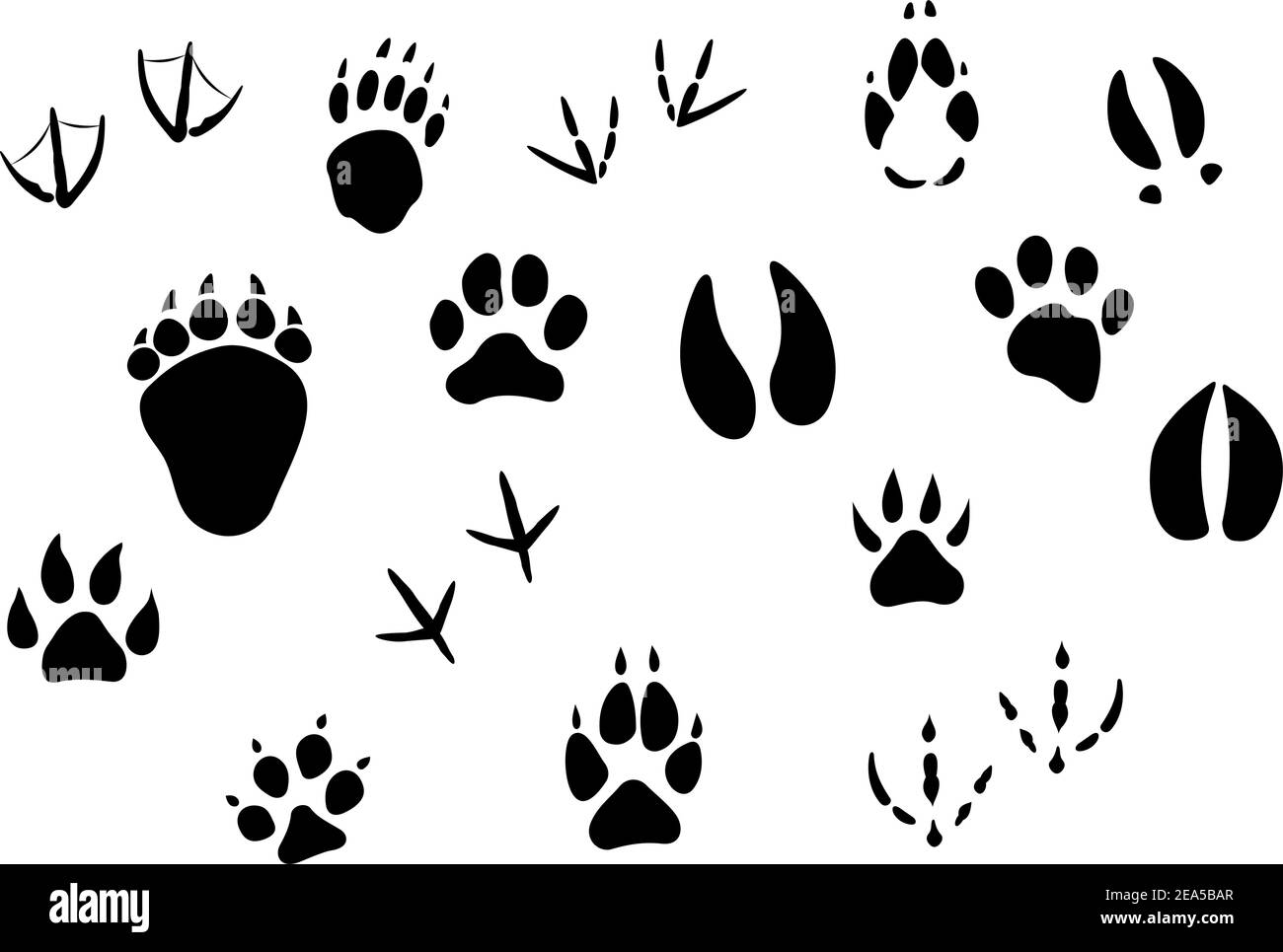 Animal footprints and tracks isolated on white for wildlife concept design Stock Vector