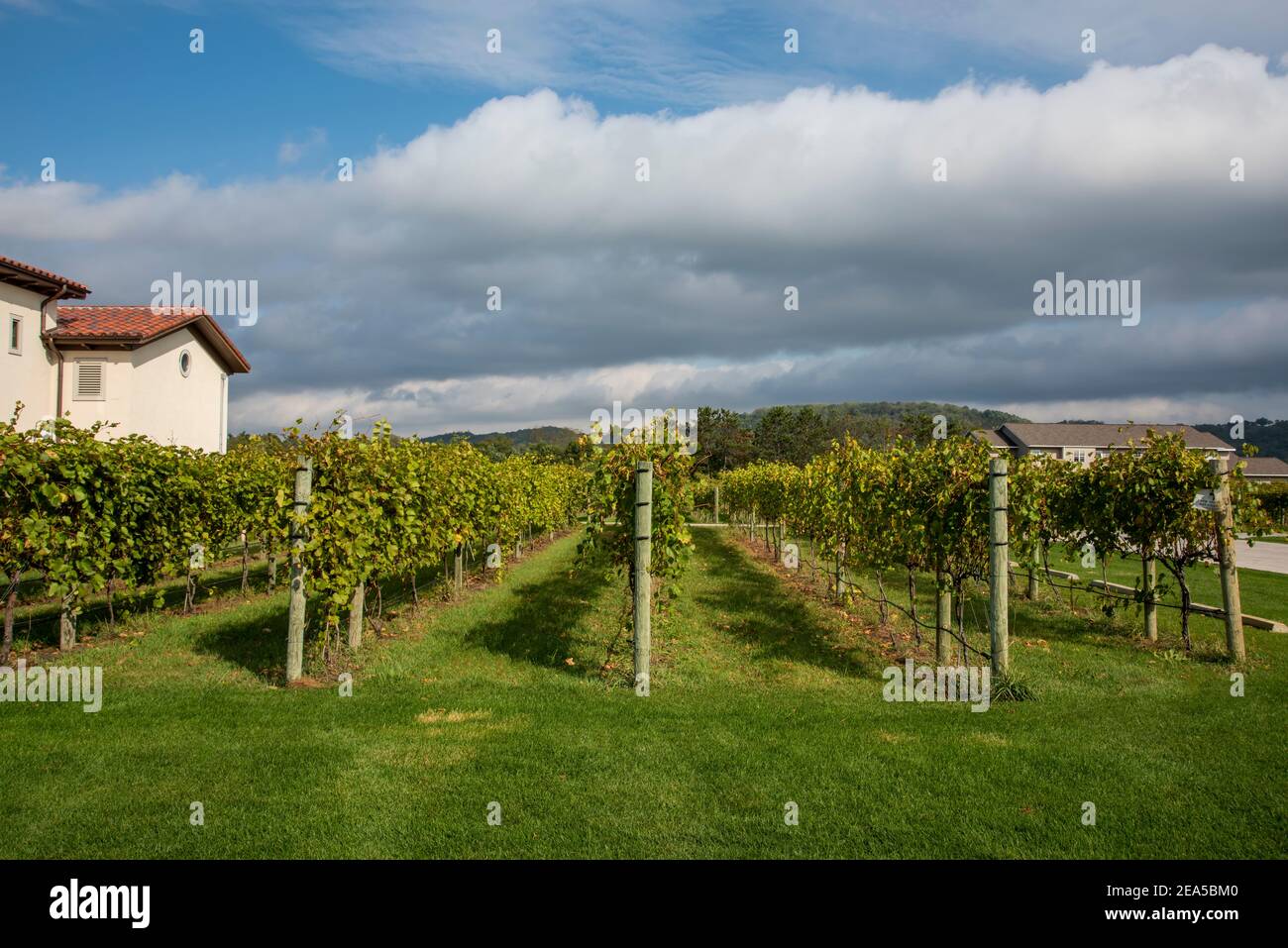 Pepin, Wisconsin. Family owned Villa Bellezza winery on a beautiful