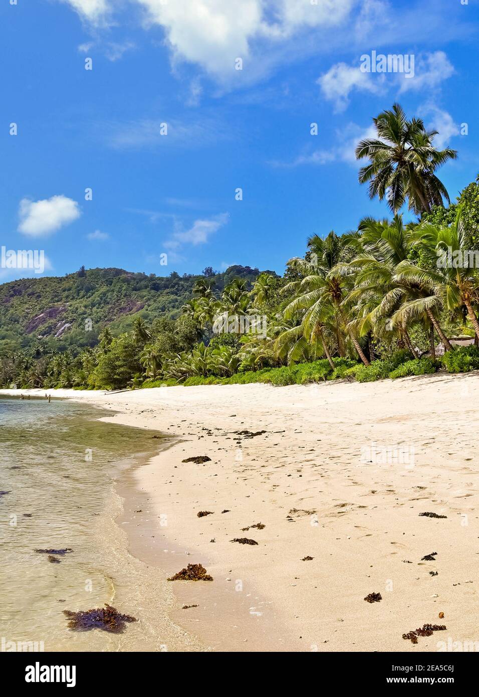Sunny day beach view on the paradise islands Seychelles. Stock Photo