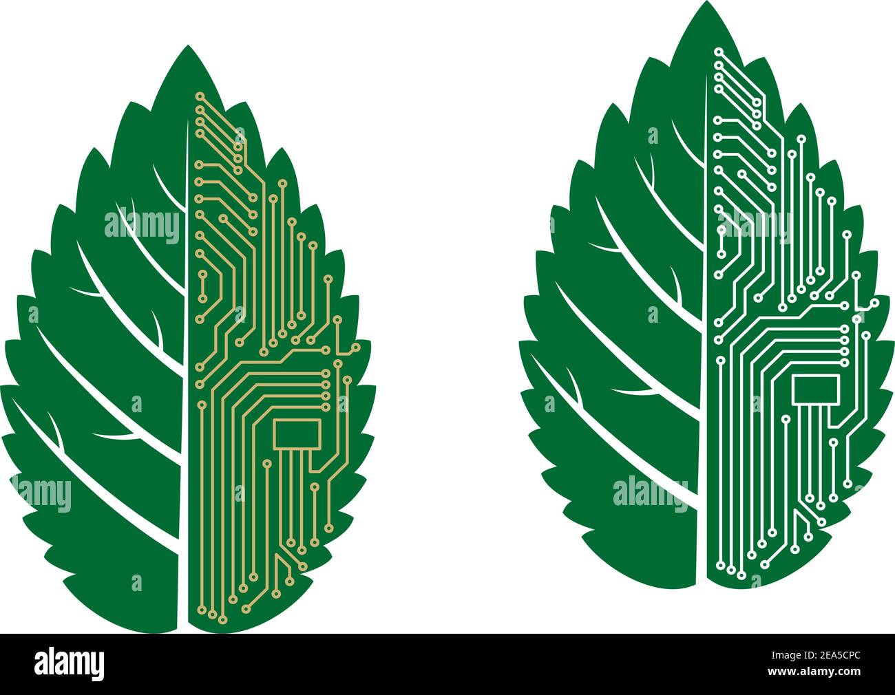 Green leaf with computer and motherboard elements for technology concept Stock Vector