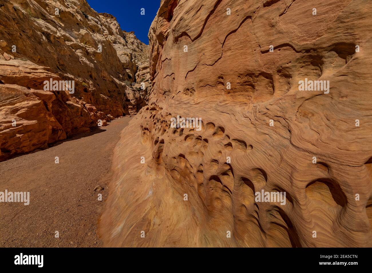 Scupted sandstone formations in Little Wild Horse Canyon in the San Rafael Swell, southern Utah, USA Stock Photo