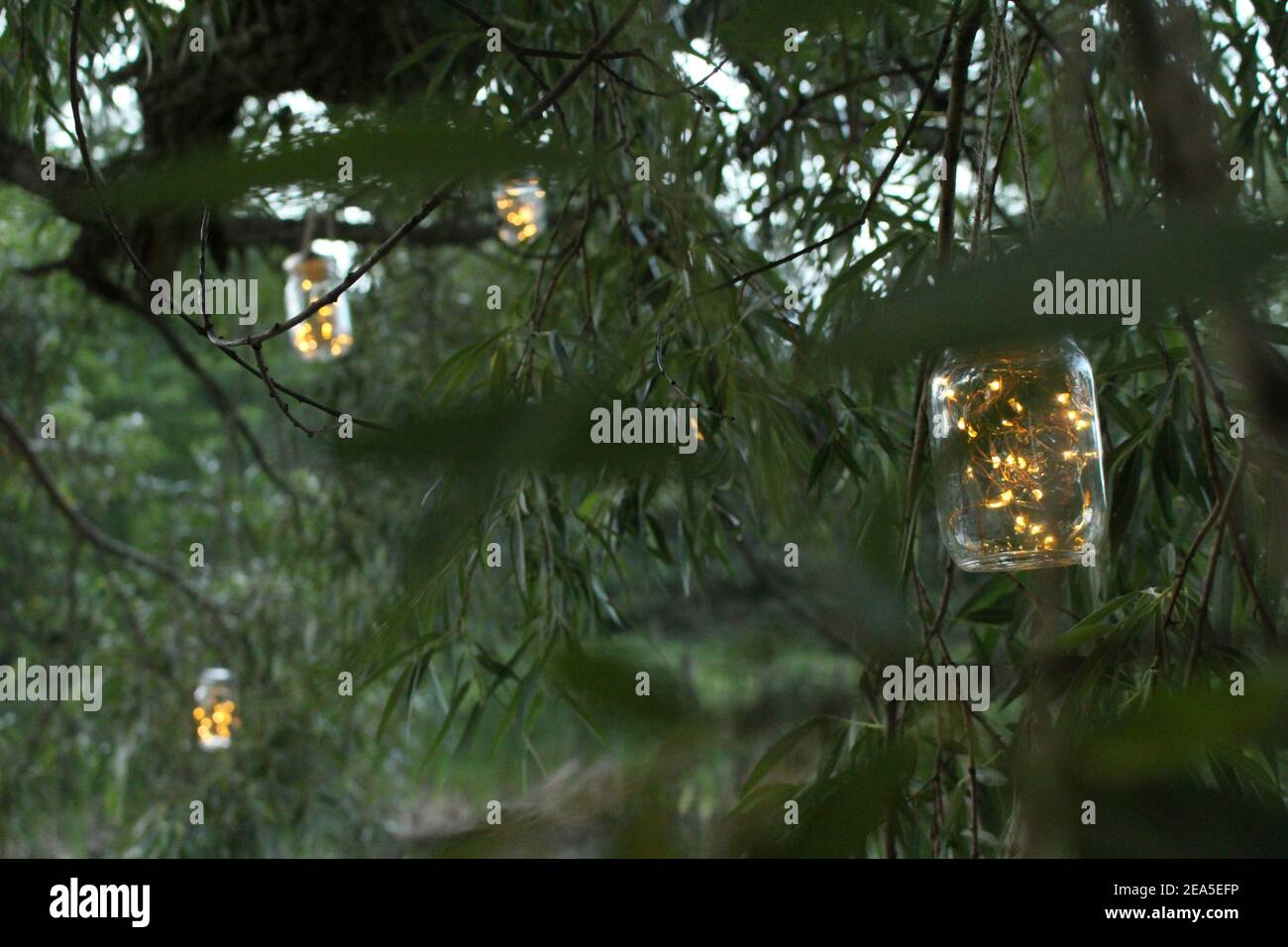 Hanging Fairy lights Stock Photo Alamy
