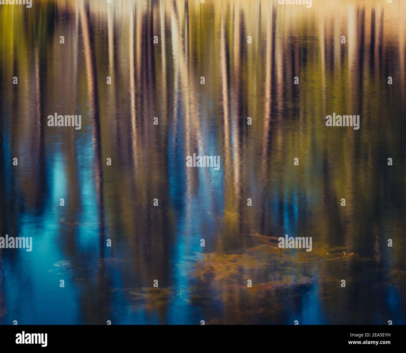 Reflection of trees and blue sky in a lake, abstract photo Stock Photo ...