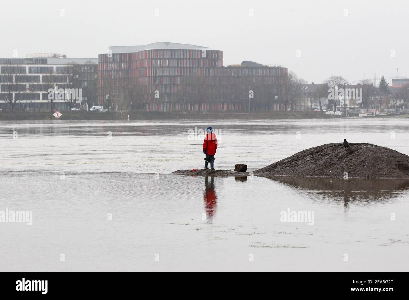 Cologne, Germany. 07th Feb, 2021. A child seen looking at the Waal