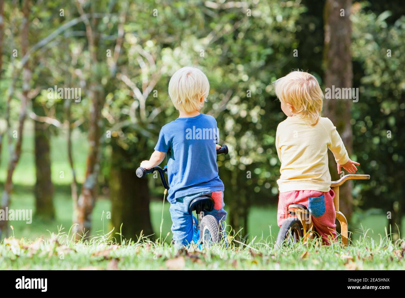 Active kids riding a balance bike (run bike). Happy children learning