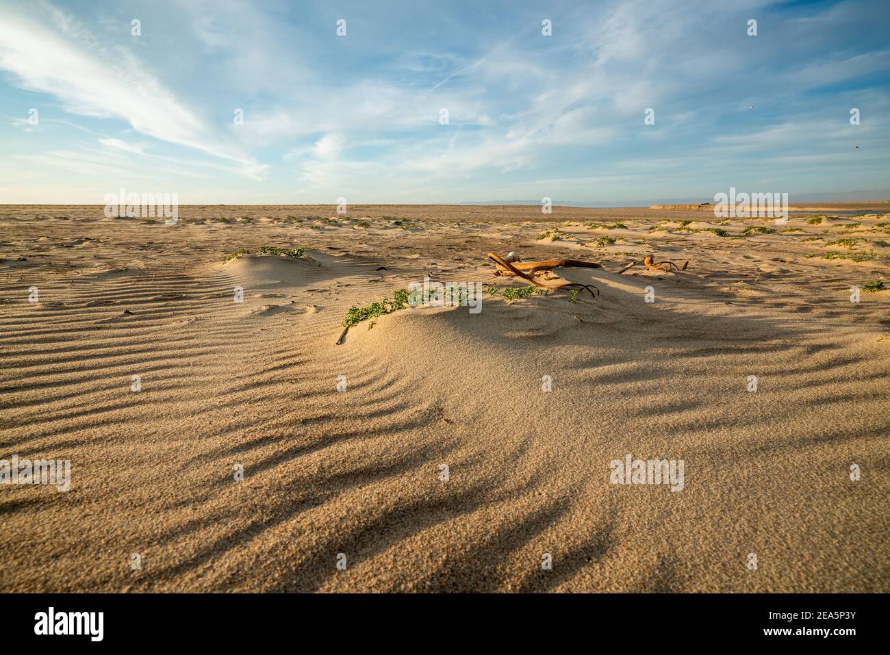 Empty sand trail in hi-res stock photography and images - Alamy