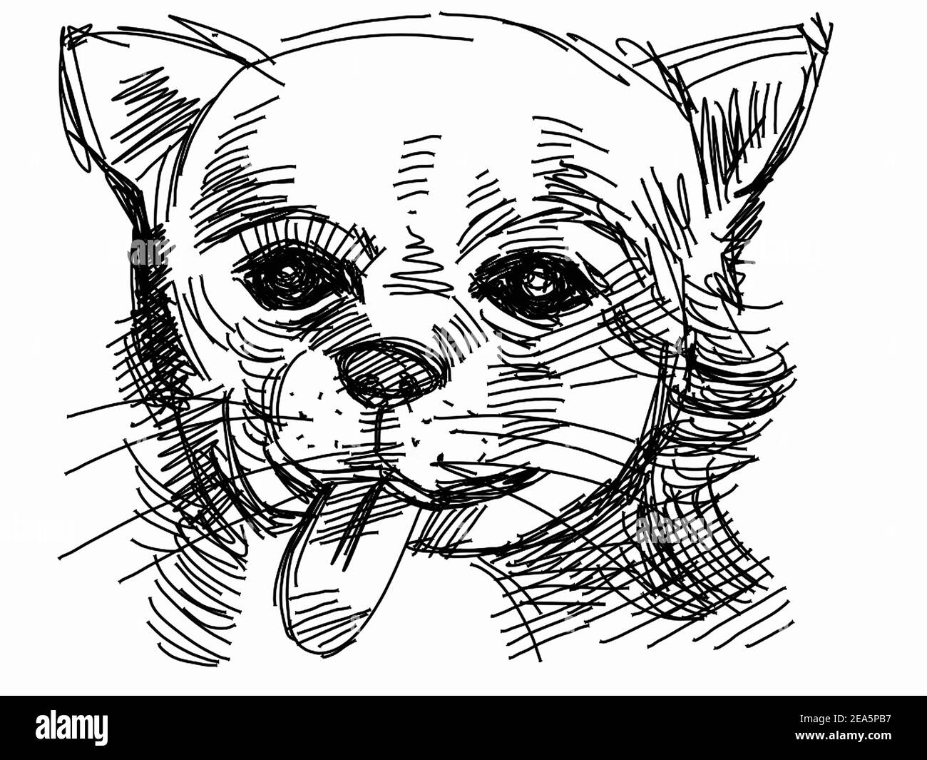 Art ,Drawing ,Fine art ,Sketch ,Cute   chihuahua Dog , Thailand Stock Photo