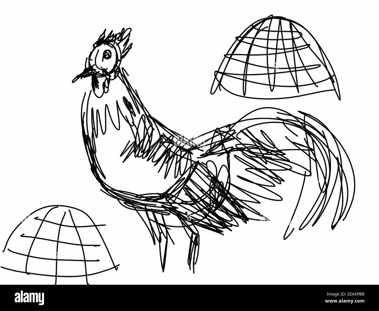 art, drawing ,backgrounds for design , hen , from thailand , bantam Stock Photo